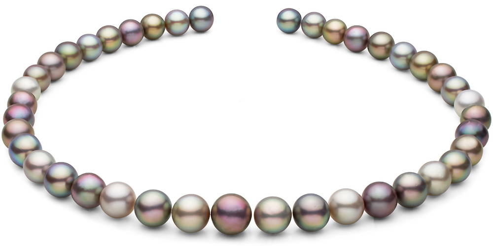 Sea of Cortez Pearls